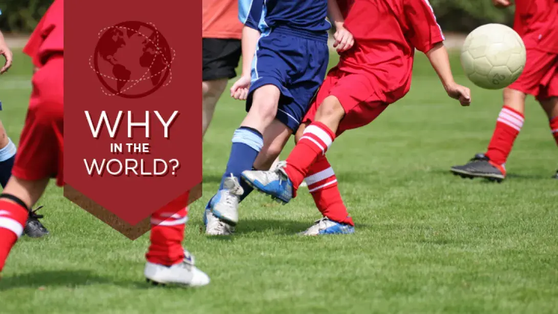 WW Banner 720x405 Brian Bolt FINAL.jpg