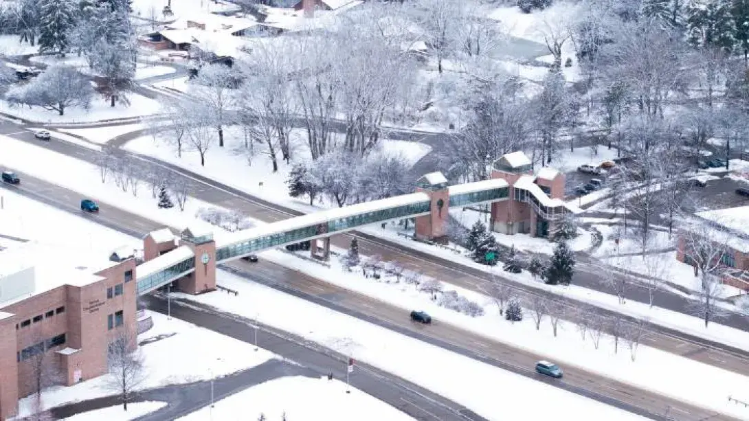 Winter Calvin University Campus.jpg