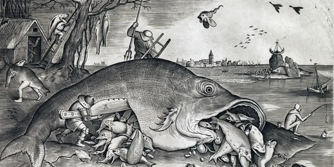 big-fish860.jpg