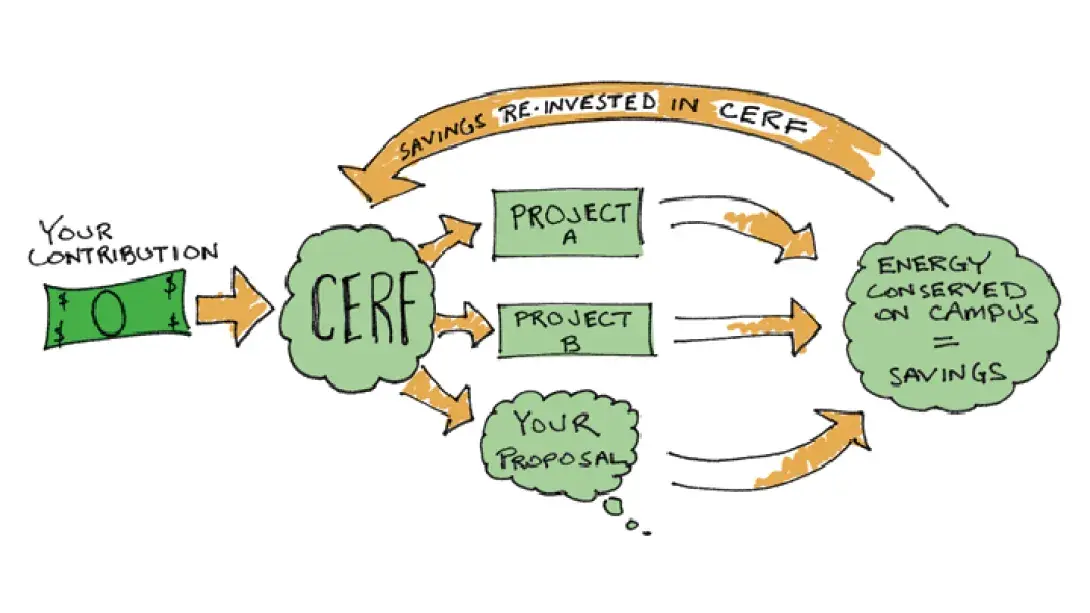 cerf-color-720x405.png