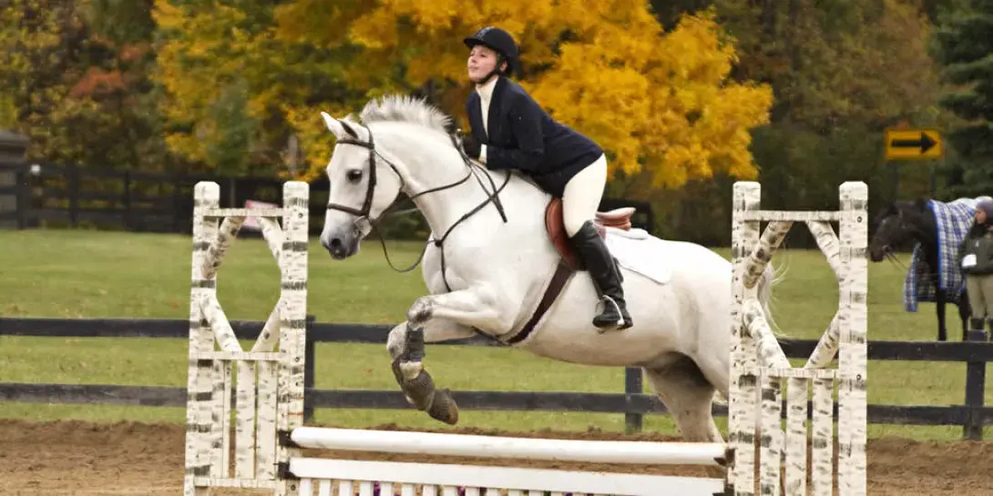 equestrian_banner.jpg