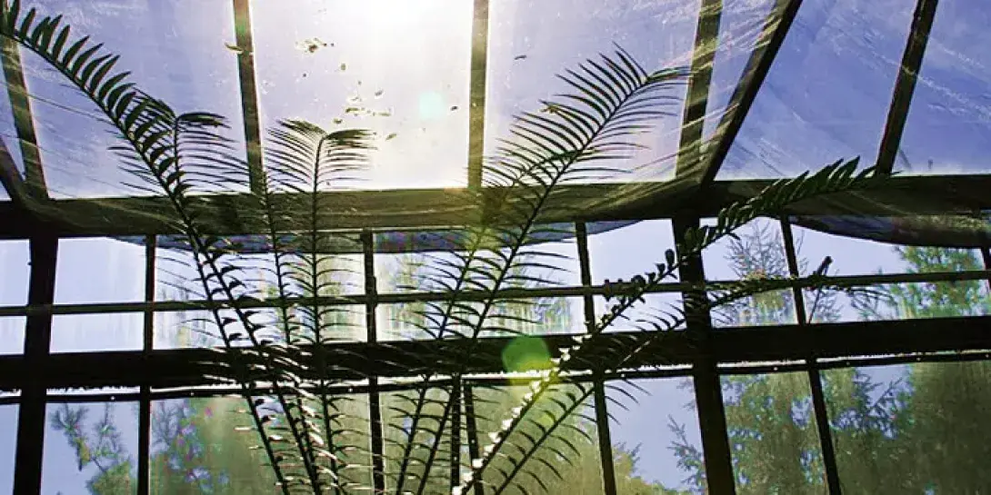 greenhouse-banner680.jpg