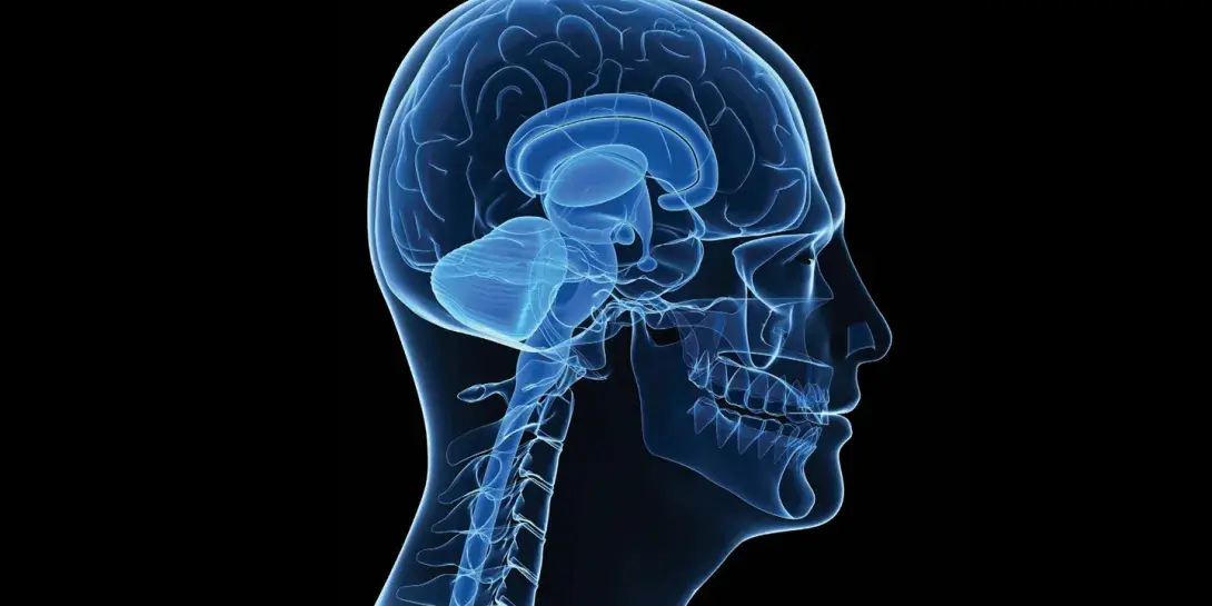 feature-Thinking-banner.jpg