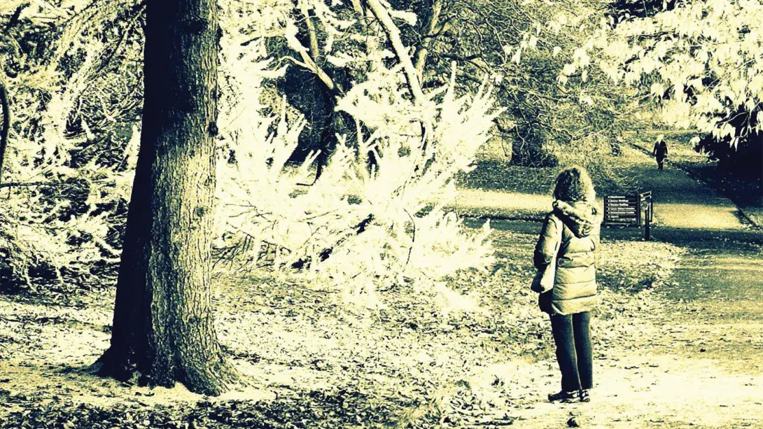feature-StoryofGrace-banner.jpg