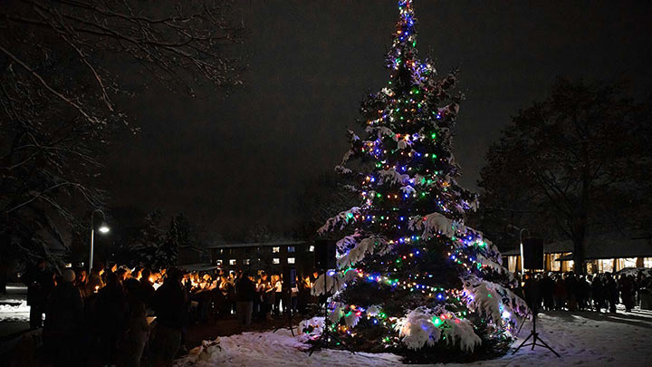 Lighting the Christmas tree on the Commons Lawn each December.