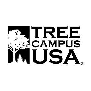 Tree campus logo